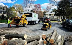 Mulching Services in Sevierville, TN